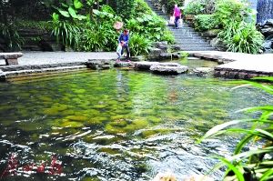 2017年廣州市兩會(huì) 水務(wù)局預(yù)算劍指水污染治理，高效著力環(huán)保技術(shù)開發(fā)服務(wù)