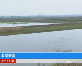 我市穩(wěn)步推進(jìn)水污染防治工作 綜合治理見實(shí)效